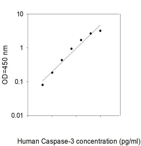 3 elisa|caspase 3 elisa.